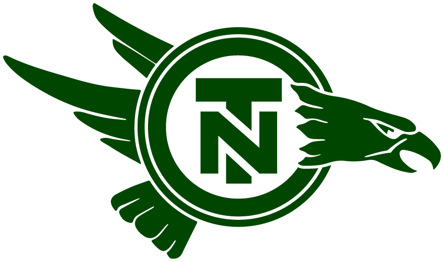 North Texas Mean Green 1983-1994 Primary Logo diy iron on heat transfer